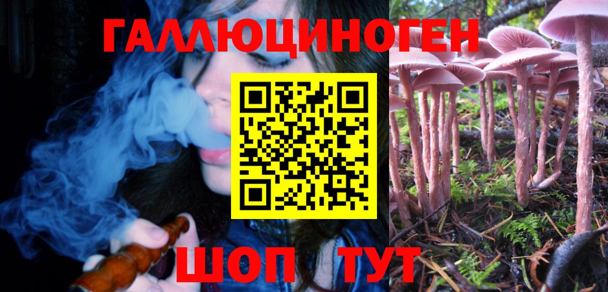 Галлюциногенные грибы мухоморы Братск