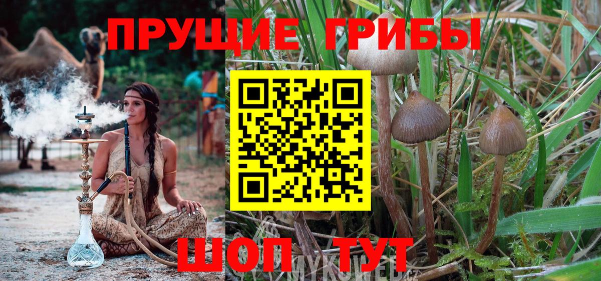 Псилоцибиновые грибы мухоморы  Вход с VPN  Братск  Псилоцибиновые грибы ЛСД 